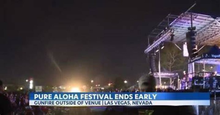 
What happened at the Pure Aloha Festival? Gunshots report debunked 